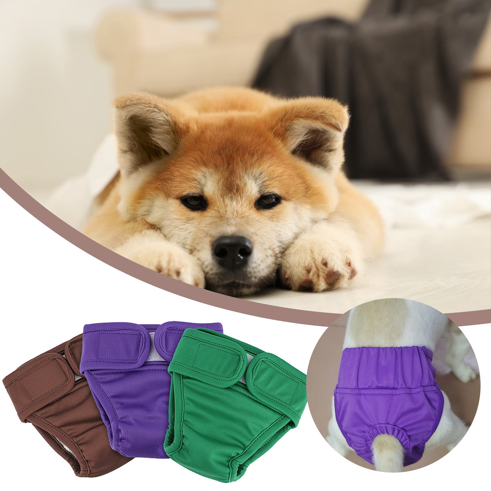 Dog diapers for potty training hotsell