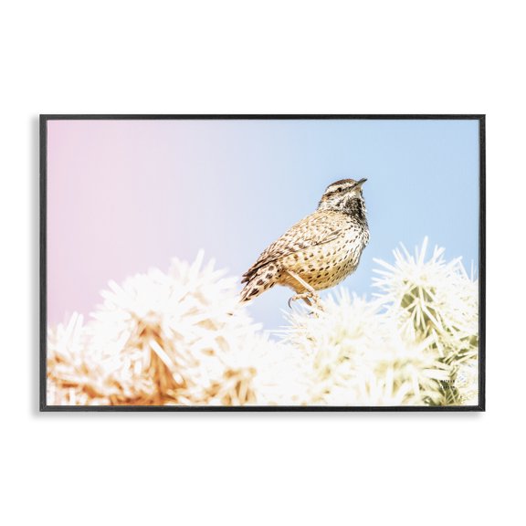 Stupell Industries Bohemian Desert Song Bird Black Framed Giclee Art, 18 x 12, by Nathan Larson