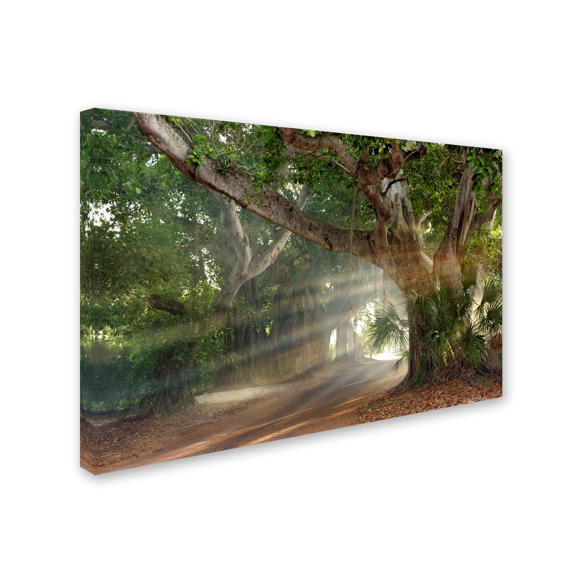 Trademark Fine Art 'Boca Grande Banyon Street' Canvas Art by Mike Jones Photo