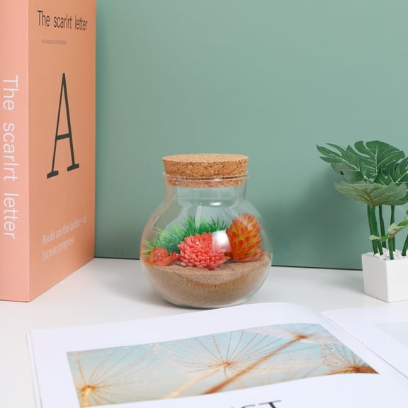 Homoyoyo 2-Pack Clear Glass Closed Terrarium Jar Spherical Container for Plants and Decor