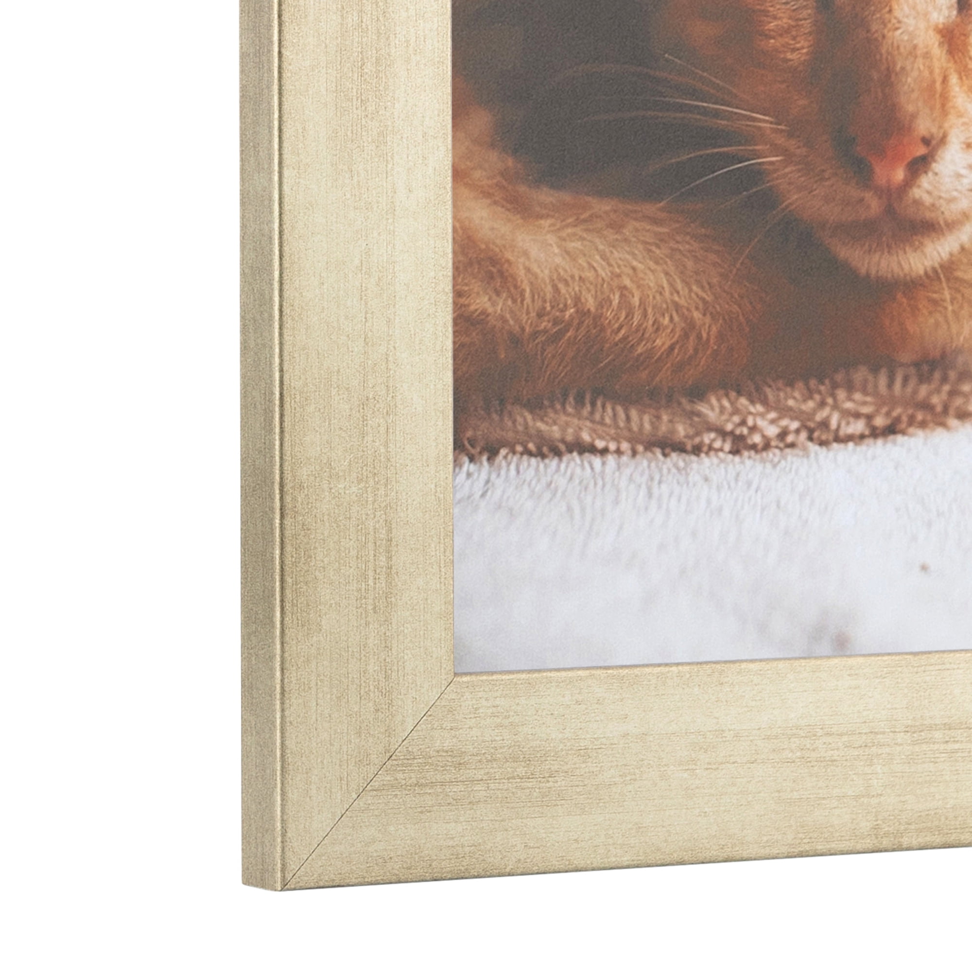 ArtToFrames 18" x 24" Muted Prosecco Gold Picture Frame, 18x24 inch Gold MDF Poster Frame (WOM-4678), 1 Pack