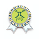 thumbnail image 1 of Escuela pirata de matemáticas Insignia broche Medalla ganadora, 1 of 3