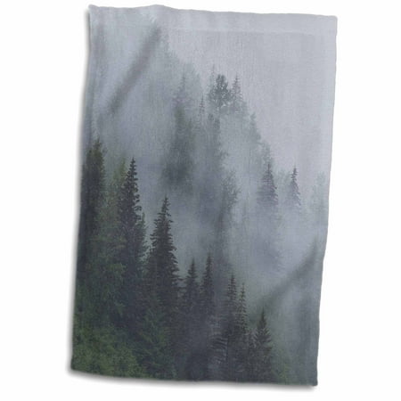 - 3dRose Alaska, Glacier Bay NP, Tongass NF. Fog shrouds trees on steep slopes. - Towel, 15 by 22-inch