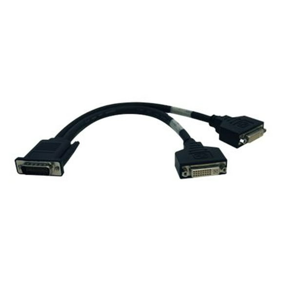 Tripp Lite DMS-59 to Dual DVI Splitter Y Cable (M to 2x DVI-I F) 1-ft.(P576-001)