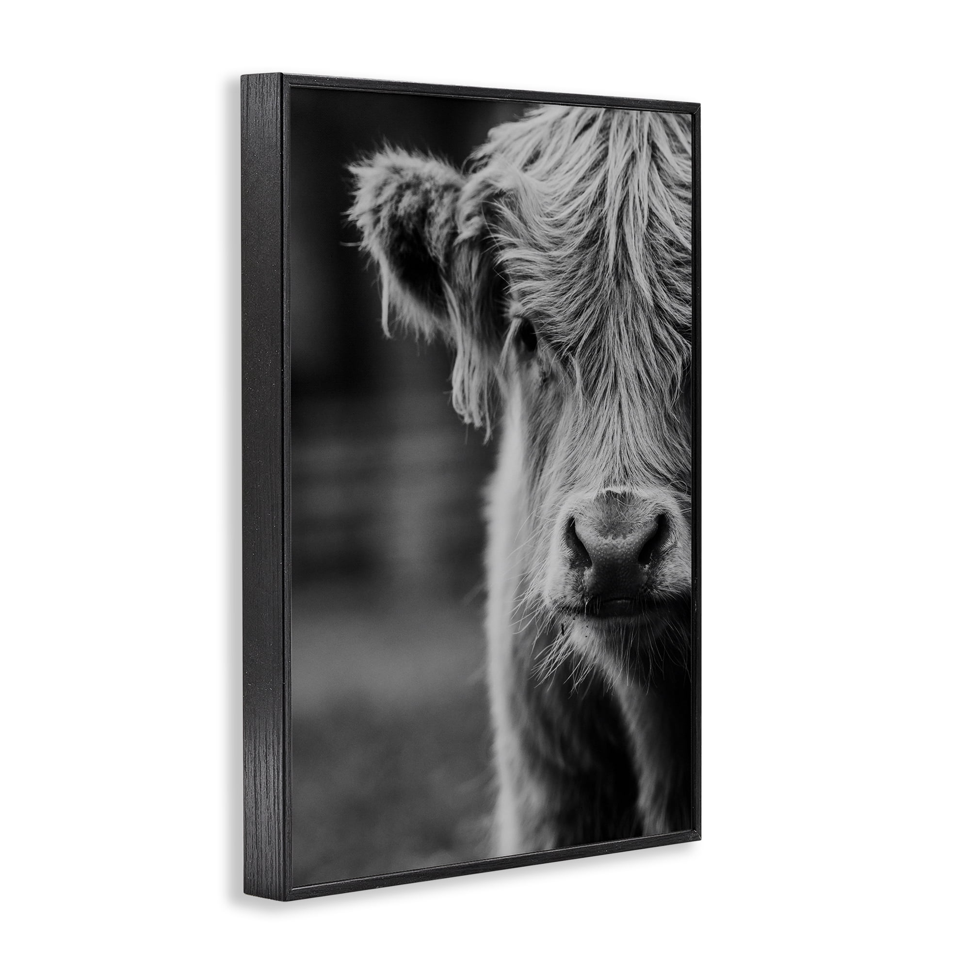 Baby Cow Face Black Framed Giclee Art, design by Amy Carroll