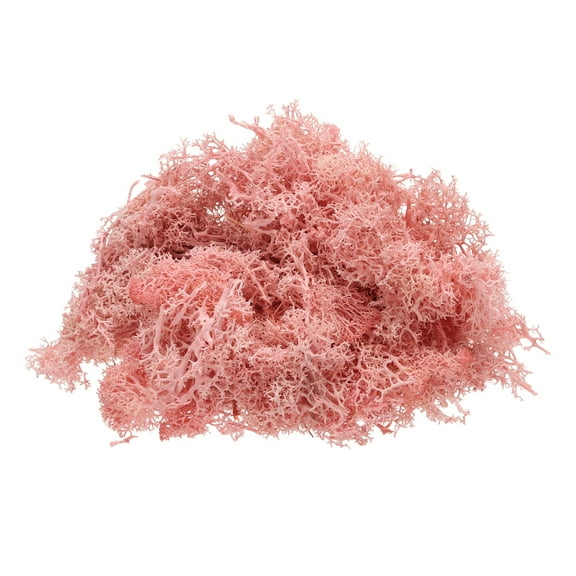 Uxcell Preserved Reindeer Moss, 4 oz Fake Moss for Crafts Artificial Dried Moss (Light Pink)