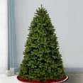 thumbnail image 2 of National Tree Company Arbre de Noël Artificiel Pied 7.5 Épicéa, 2 of 6