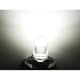 thumbnail image 1 of 10/5/2Pzs Focos Led T10 Lupa Canbus Pellizco Sin Señal Error 550lm huangjie unisex, 1 of 2