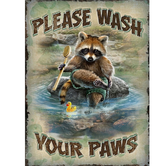 Cuadros Decorativos 5D DIY Brook Raccoon taladro cuadrado completo mosaico diamante pintura Rhinestone arte JShteea Nuevos Originales