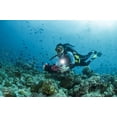 thumbnail image 5 of Luz submarina para foto y video SeaLife Sea Dragon 3000F, 5 of 5