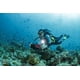 thumbnail image 5 of Luz submarina para foto y video SeaLife Sea Dragon 3000F, 5 of 5