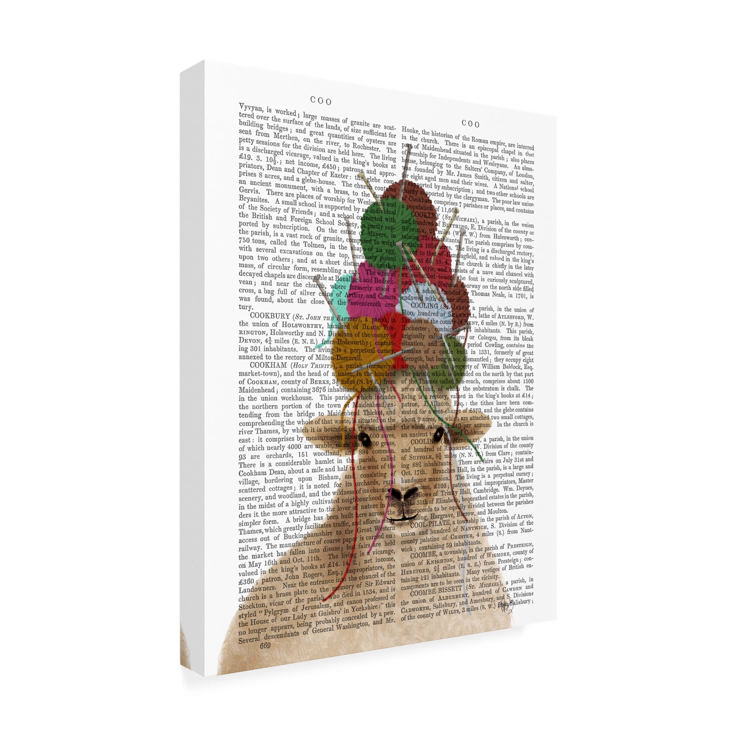 Fab Funky 'Sheep with Wool Hat Portrait Book Print' Canvas Art