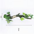 thumbnail image 2 of Reptile Corner Branch Terrarium Plant Decoration with Suction Cup for Amphibian Lizard Snake Climbing, 2 of 6
