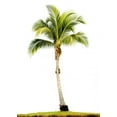 thumbnail image 2 of Palm Tree Wall Decal by Wallmonkeys Peel and Stick Graphic (18 in H x 13 in W) WM213571, 2 of 4