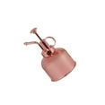 thumbnail image 1 of Inteprter Pulverizador de acero inoxidable antioxidante Mini portátil anticorrosivo riego jardinería aspersor atomizador herramienta Accesorios Jardín y Patio Oro rosa Inteprter HA083709-02, 1 of 6