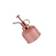 thumbnail image 1 of Toystoory Pulverizador de repuesto Vintage antioxidante portátil de mano riego jardinería aspersor atomizador herramienta Accesorios Jardín y Patio Oro rosa Toystoory HA083709-02, 1 of 6