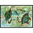 thumbnail image 1 of Carolines Treasures 8940MAT Tapis Intérieur et Extérieur - 18 x 27 Po., 1 of 4