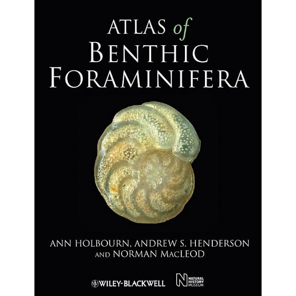 Atlas of Benthic Foraminifera (Hardcover)