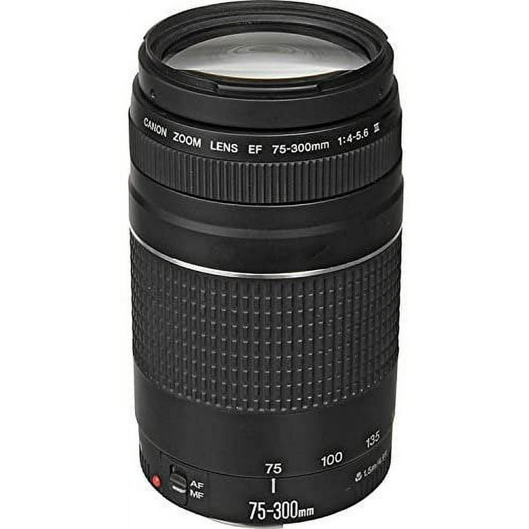 Canon EOS 6D Mark II DSLR Camera with Canon EF 75-300mm f/4-5.6 