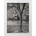thumbnail image 3 of Vitaly Geyman 11x14 White Modern Wood Framed Wall Art Titled - Fall Tree Grove I BandW, 3 of 5