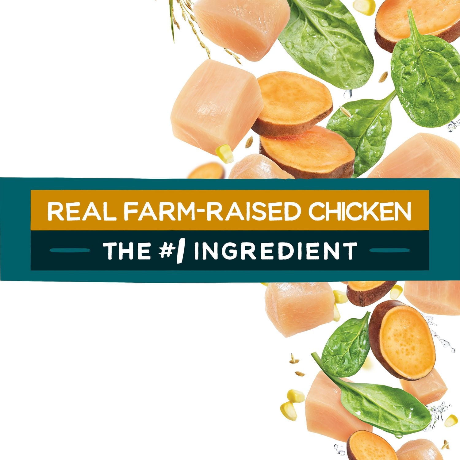 Beneful IncrediBites for Small Dogs with Real Chicken, Dry Dog Food, 1.6-7 kg