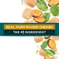 thumbnail image 2 of Beneful IncrediBites for Small Dogs with Real Chicken, Dry Dog Food 1.6kg, 2 of 9
