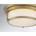 thumbnail image 7 of Trade Winds Lighting 2-Light Ceiling Light In Natural Brass, 7 of 7