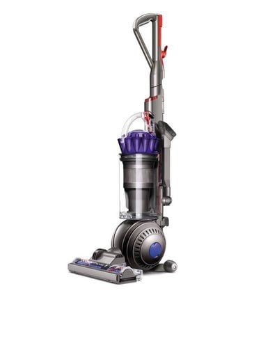 Aspirateur vertical Animal DC66 de Dyson