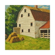 Barn in Abundance - Canvas