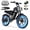 1500W 48V 15.6Ah Black+WRack, variant on DTTZH 1000W Peak Electric Bike for Adults, 750W Rated Motor, 24-60 Miles E-Mountain Bike, 20" x 4" Fat Tire Off-Road Ebike, 48V/15Ah UL2849 Certified