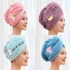 thumbnail image 2 of Toalla de pelo seco bordada de terciopelo Coral para mujer, gorro de ducha suave de microfibra, envoltura para la cabeza, absorbente, secado rápido, 2 of 5