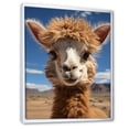 thumbnail image 2 of Designart "Alpaca Portrait Beige I" Animals Floater Framed Canvas Art Print, 2 of 7