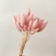 thumbnail image 1 of 50 piezas de decoración del hogar, ramos de hierba de cola de conejo, flores secas,flor eterna, ramo de flores de hierba seca, accesorios para fotos, fiesta en casa y bodaLake BluePink brillar Juguete, 1 of 4