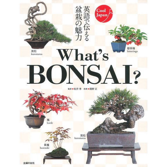 Cool Japan What's Bonsai?, (Paperback)