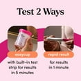 thumbnail image 5 of First Response Multi Check Quick & Simple Pregnancy Test Kit, 1 EasyCup Test with Built-in Pregnancy Test Strip, and 2 Rapid Result Pregnancy Tests, 1 Kit, 5 of 13