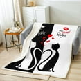 thumbnail image 2 of Valentines Cats Blanket Romantic Throw Blanket for Bed Black and White Fleece Blanket Baby Size Mr Mrs Right Sherpa Blanket Man Mustache Women Lips Fuzzy Blanket Wedding, 2 of 6