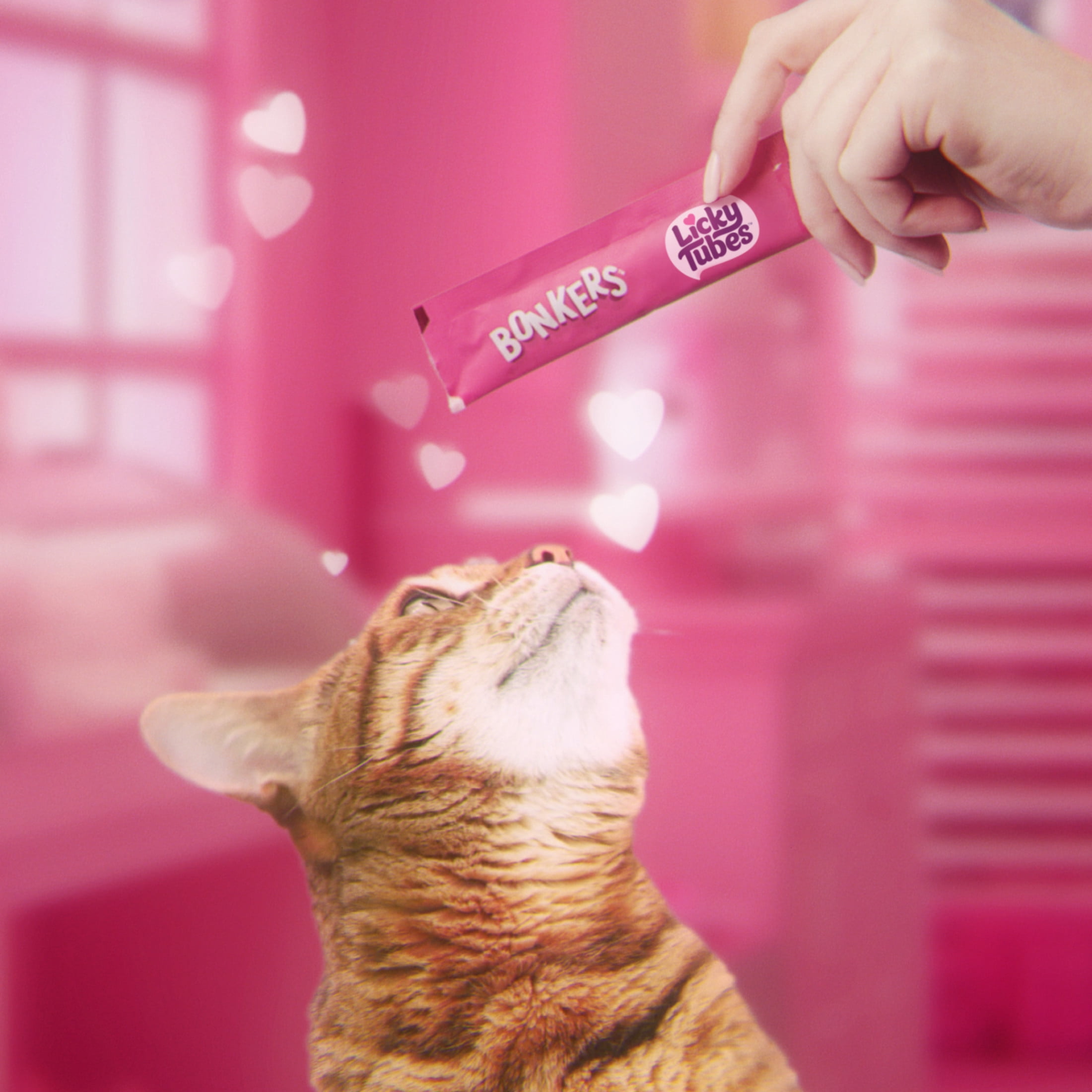 BONKERS Licky Tubes Chicken Flavored Wet Lickable Treats for Cats, 4 Pack