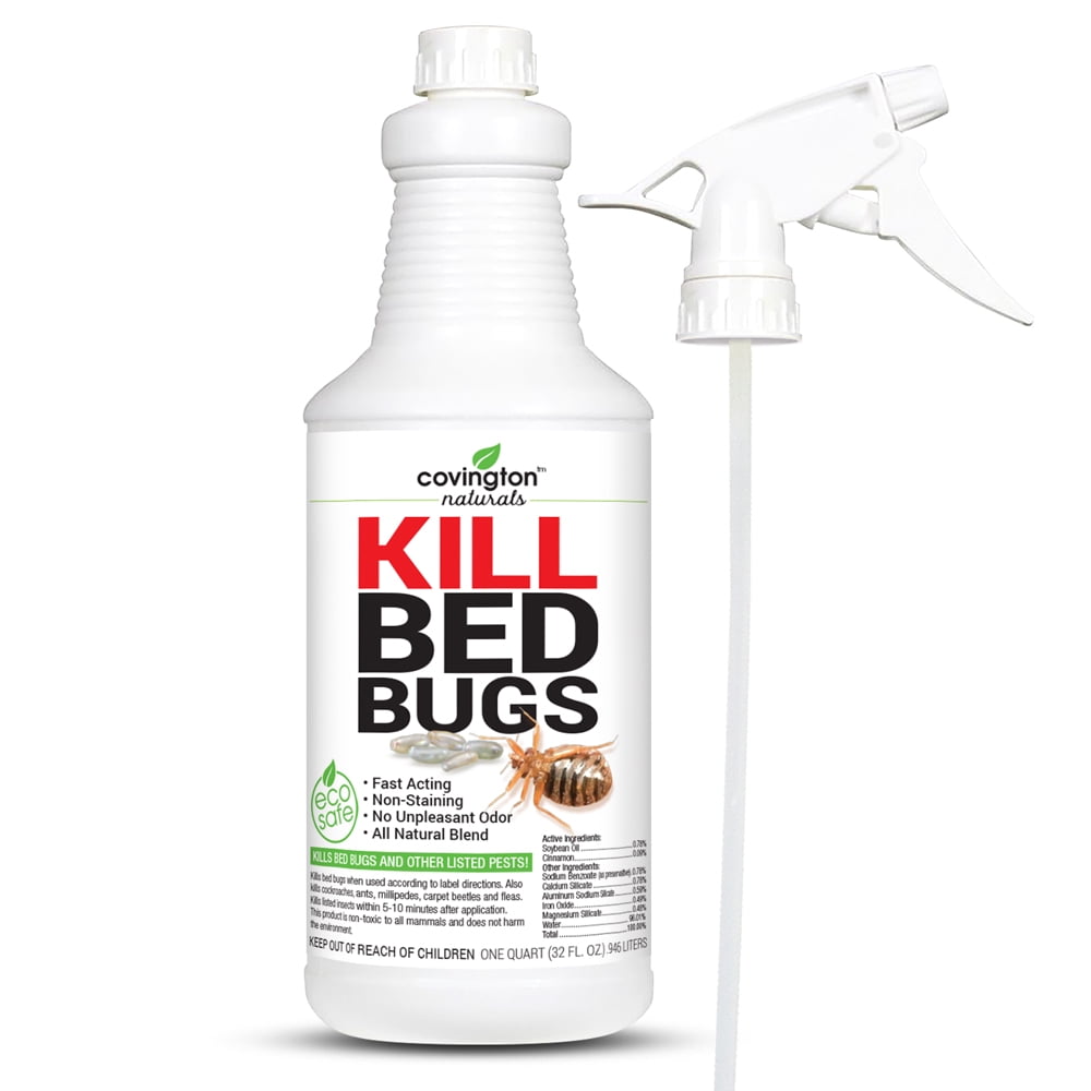 bed bug killer spray