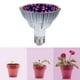 thumbnail image 4 of Bombilla de cultivo LED para plantas de interior Lámparas de cultivo LED de espectro completo MABOTO  Tipo 1, 4 of 7