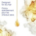 thumbnail image 2 of Dove Coconut + Hydration Shampoo & Conditioner, 2 of 7