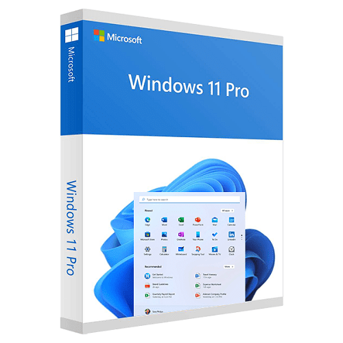 DVD OEM Microsoft Windows 11 PRO 64 bits avec clé d'activation