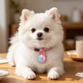 thumbnail image 2 of Luz LED recargable para mascotas | Luz con clip para collar de perro para paseos nocturnos | Colgante impermeable con alimentación USB para perros y gatos, 2 of 6