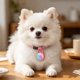 thumbnail image 2 of Collar con luz LED recargable para perros – Luz de seguridad USB para mascotas con clip, colgante para perros y gatos para paseos nocturnos., 2 of 6