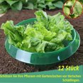 thumbnail image 2 of 3Pcs Plant Cover Transparent Protective Plastic Vegetable Plants Fruit Cover Garden Tool, 2 of 8