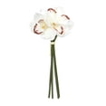 thumbnail image 3 of Orquídea Artificial hidratante, centro de mesa de orquídea realista, decoración para el Día de Acción de Gracias y San Valentín, 3 of 8