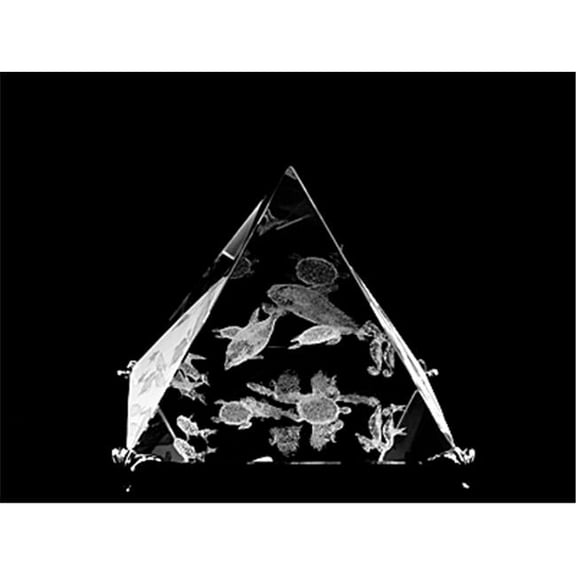 Asfour Crystal 1051-100-25 4 L x 3.75 H x 4 W in. Crystal Laser-Engraved Sea Life Sealife & Nautical Laser-Cut