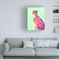 thumbnail image 2 of Trademark Fine Art June Erica Vess  Savannah Pop II Canvas Wall Art, 2 of 4