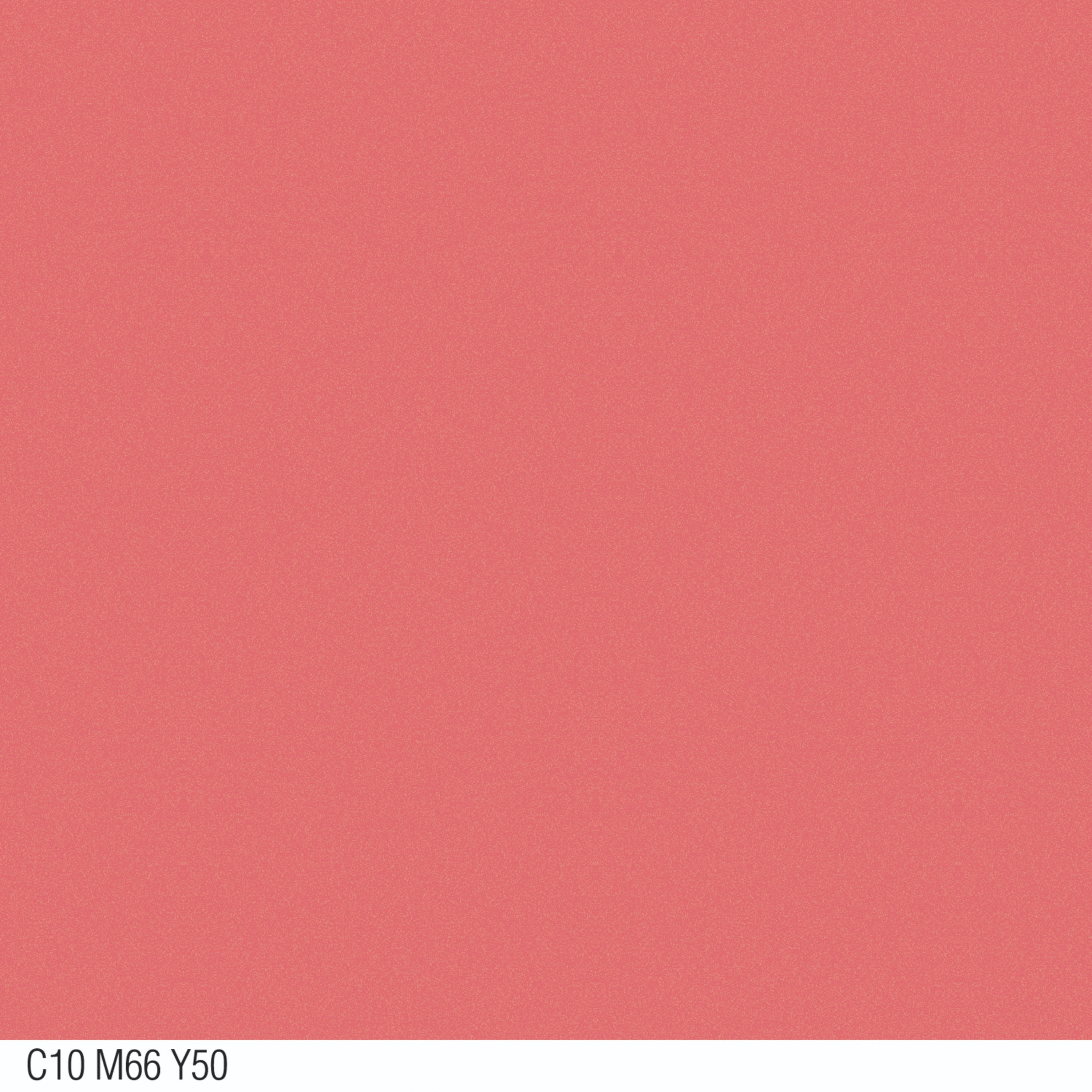 Coral Sunset