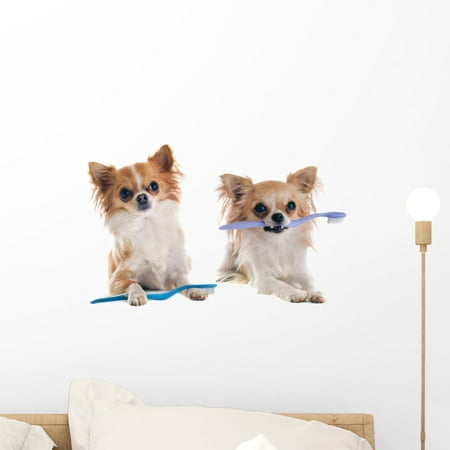 Chihuahuas and Toothbrush Wall Mural by Wallmonkeys Peel and Stick Graphic (18 in W x 12 in H)