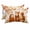 Orange, variant on 1 Pack Outdoor Waterproof Throw Pillows for Head,Thanksgiving Hedgehog Fox Squirrel Cushion Cases with Insert&Straps Neck Pillows for Patio Recliner Chair,Fall Maple Leaf Retro Linen